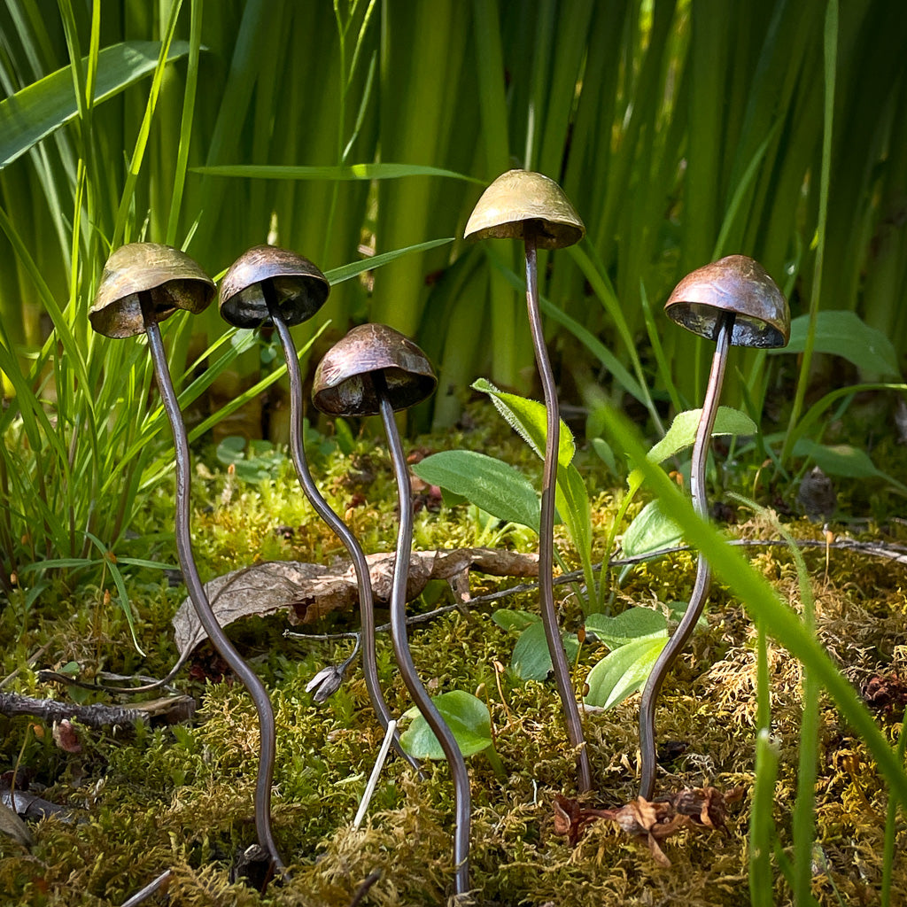 Mushroom Hair Sticks